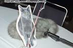 adultexpo02_116