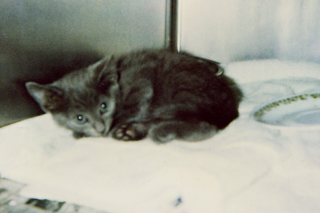 lgg_scrapbook_001
