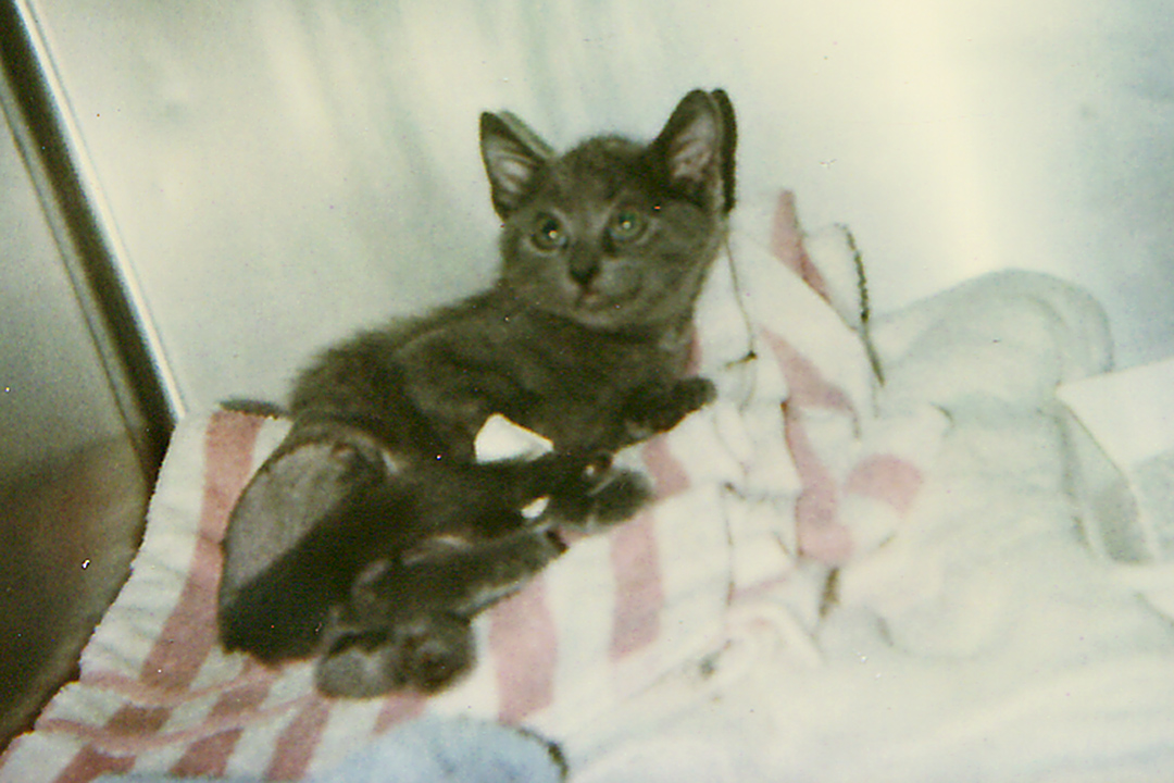 lgg_scrapbook_004