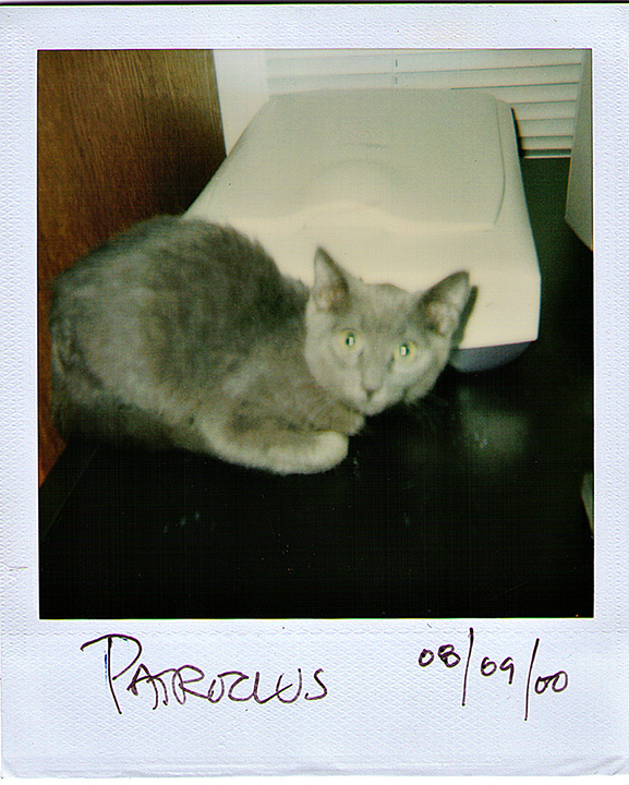 lgg_scrapbook_005
