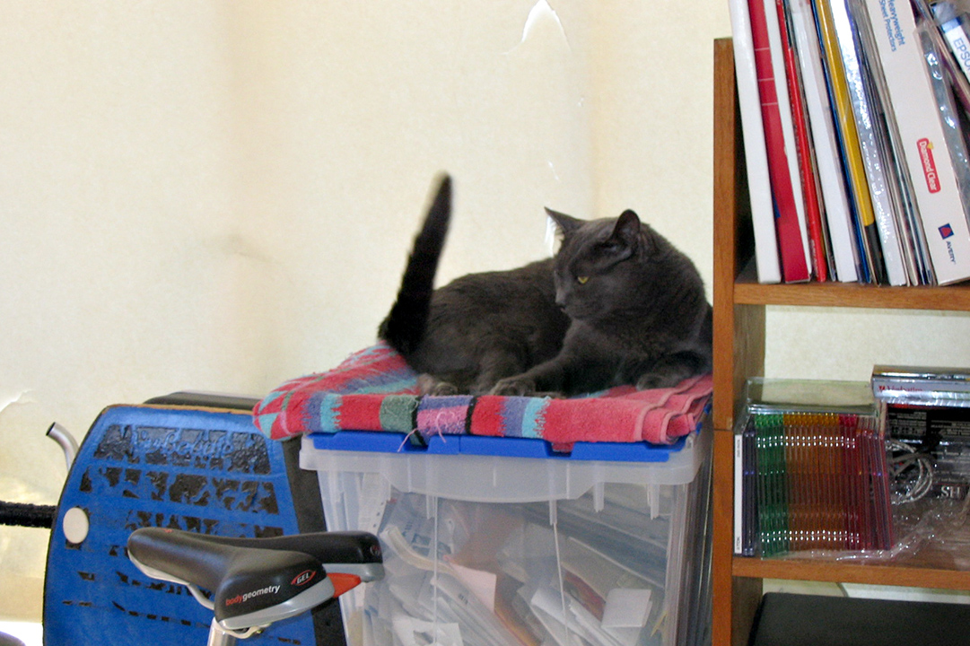 lgg_scrapbook_040