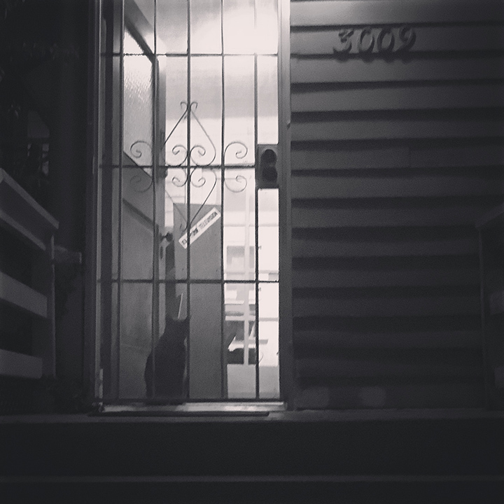lgg_scrapbook_143