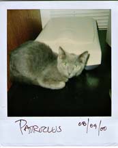lgg_scrapbook_005