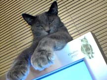 lgg_scrapbook_046