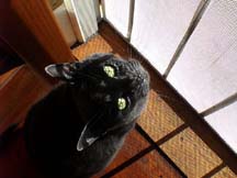 lgg_scrapbook_047
