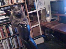 lgg_scrapbook_063
