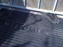 lgg_scrapbook_071