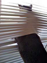 lgg_scrapbook_079