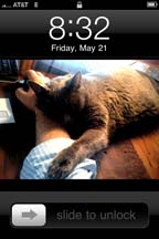 lgg_scrapbook_088