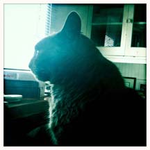 lgg_scrapbook_102