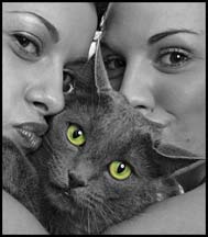 lgg_scrapbook_160