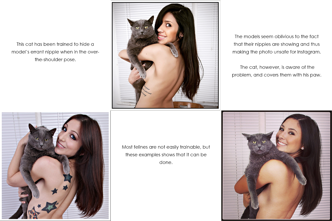 index_007